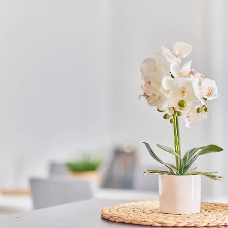 Appartement Zentrale Lage Netflix Queensize Bett Bruchsal